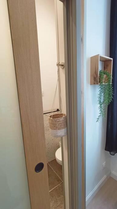 Le Raffine Apartment Millau Exterior photo